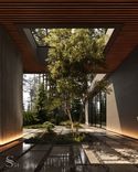 Living tree next to the entrance