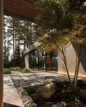Living tree next to the entrance